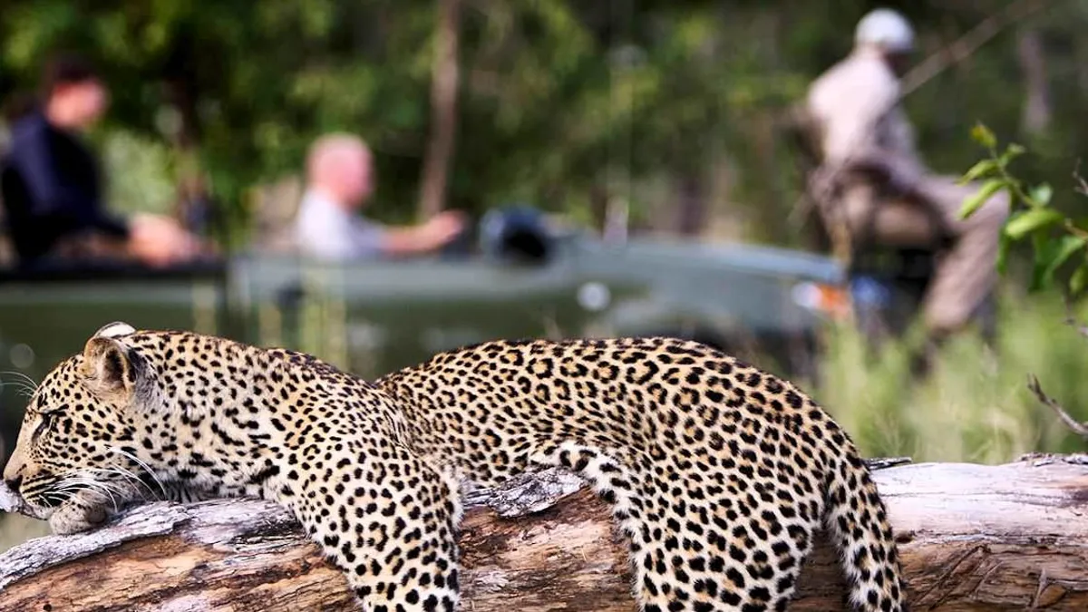 African Sky - Honeymoons in Cape Town