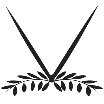 Avianto logo
