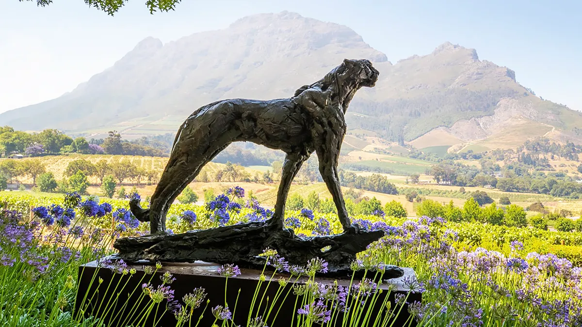 Delaire Graff Estate - Accommodation in Stellenbosch