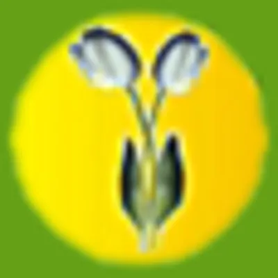 Flora Niche logo