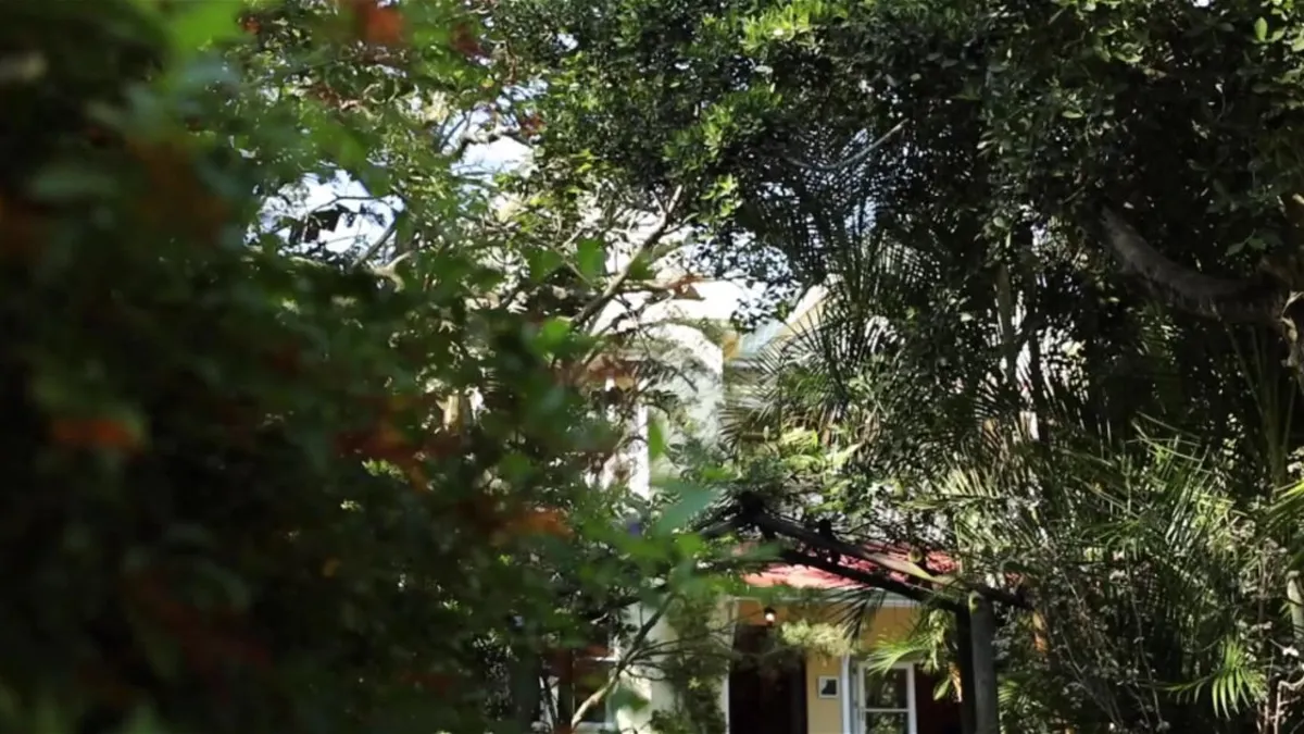 Hacklewood Hill Country House - Accommodation in Port Elizabeth (Gqeberha)