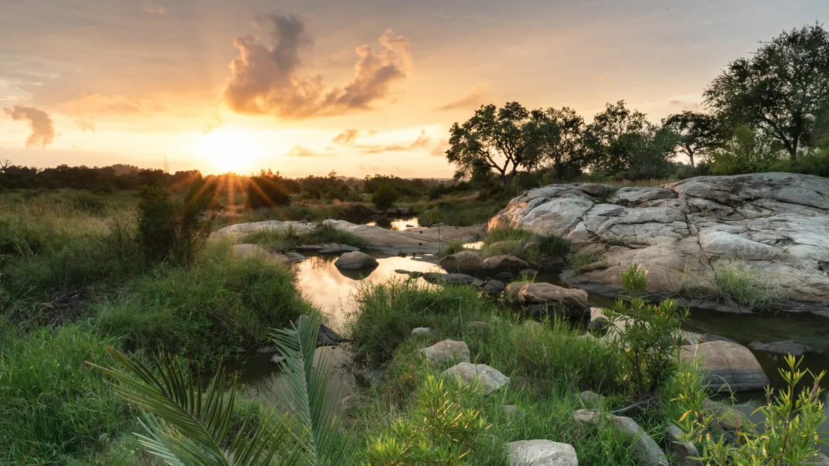 Londolozi Private Game Reserve - Honeymoons in Nelspruit (Mbombela)
