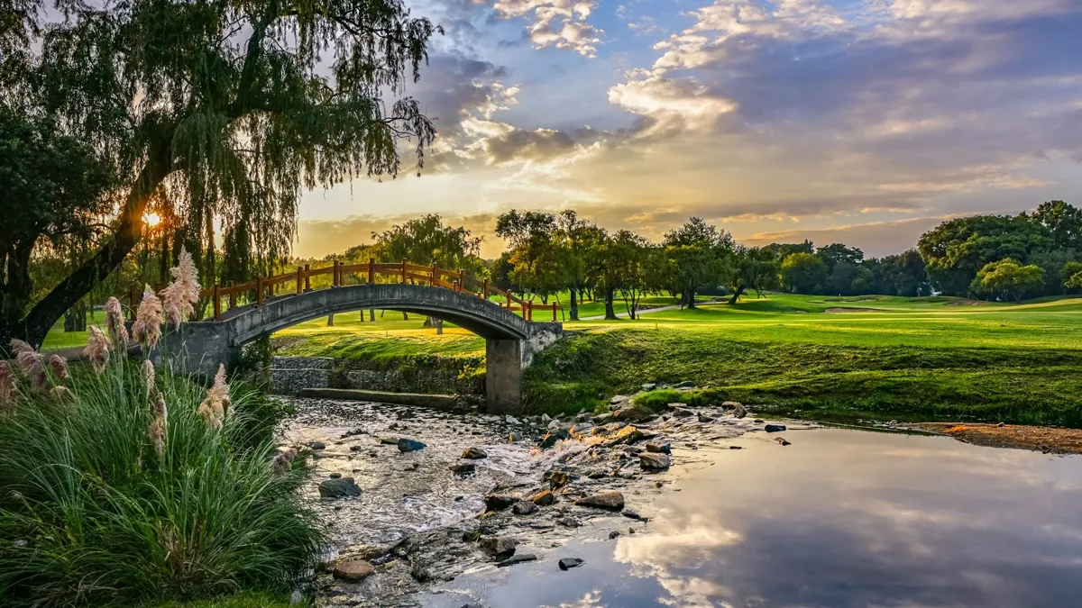 Randpark Golf Club - Venues in Randburg