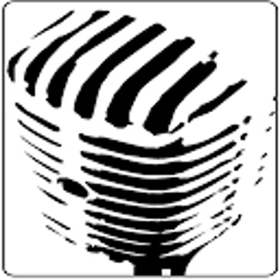 Sound Stylists logo